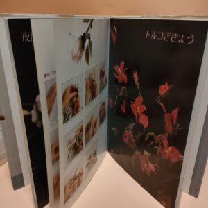 中身もカラーで見やすい